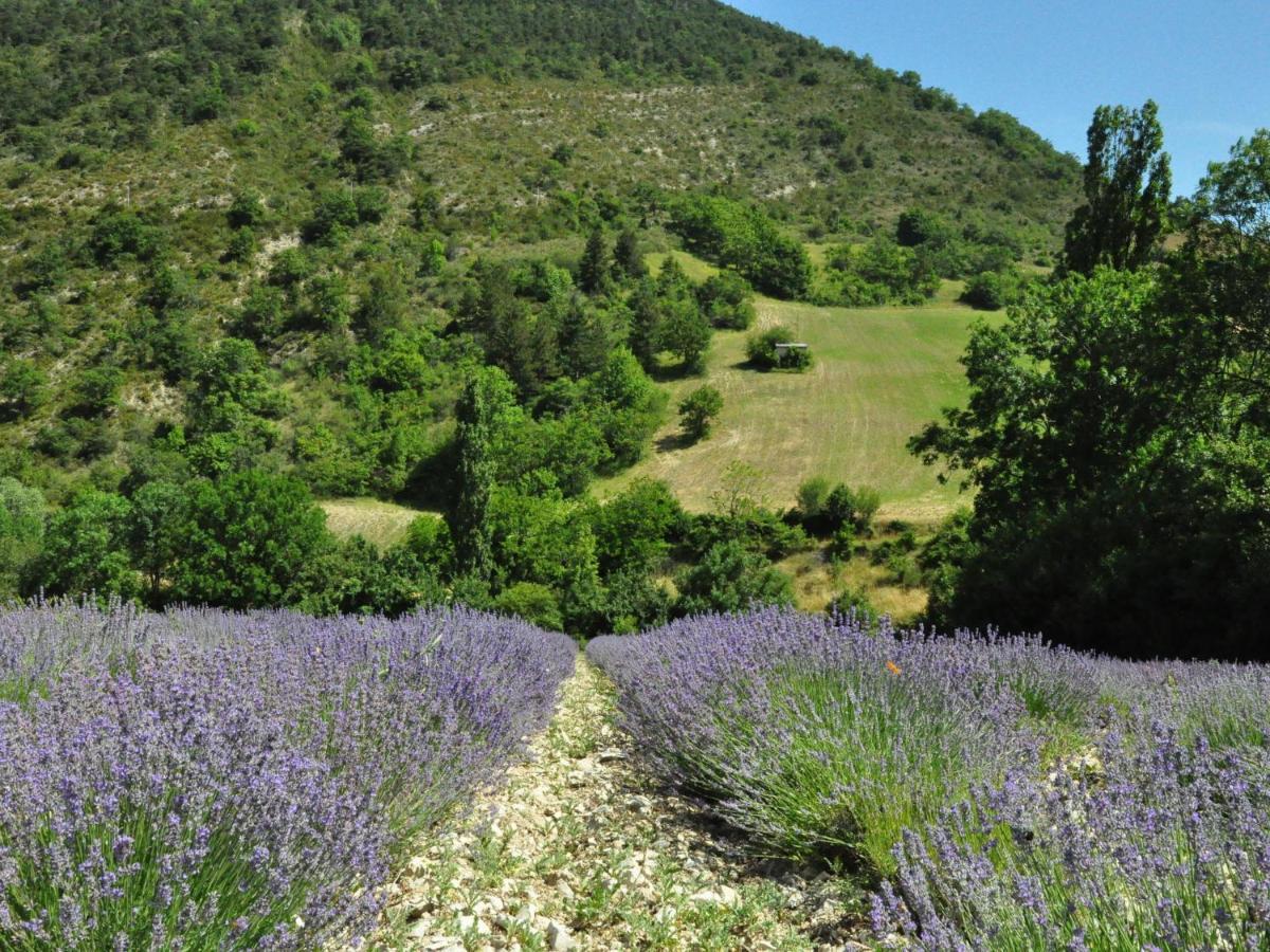 Superb Flat With Private Pool Villa Carpentras
